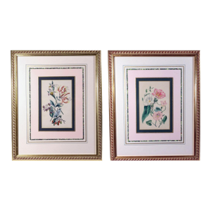 Robert Mackenzie Stark Pair of Botanical Prints From ‘Lessons From the Vegetable World’