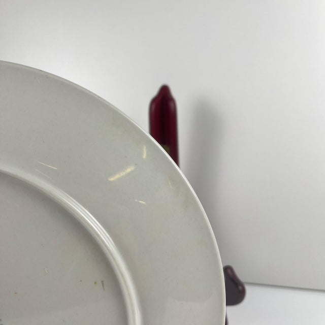 Ceramic Acapulco Dinner Plates by Villeroy and Boch, 1970s, Set of 4 For Sale - Image 7 of 13