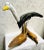 Vintage Coastal Hand-Carved and Painted Large Seagull Driftwood Statue For Sale - Image 4 of 13