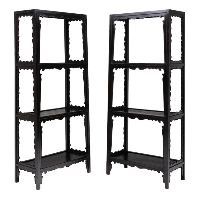 Pair of Antique Chinese Cartouche Collector's Shelves, 19th Century For Sale