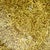 1970s Moroccan Ochre Tamegroute Plate For Sale - Image 4 of 6