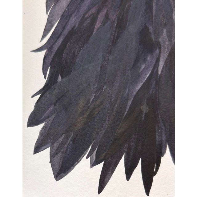 Black Original Watercolor Illustration on Paper “Little Black Snapdragon” Framed For Sale - Image 8 of 12