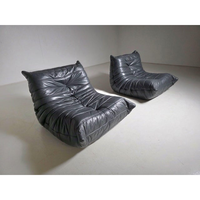 Grey/Blue Togo Chairs by Michel Ducaroy for Ligne Roset, 1980s, Set of 2 For Sale - Image 10 of 10