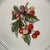 Ivory 1970s Thornberry’s u.s.a. Fruit Plates Porcelain Set of 4 - 7 3/4” For Sale - Image 8 of 13