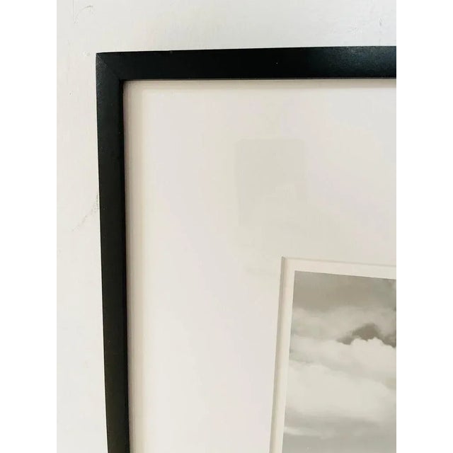 Limited Edition Print "Games People Play" by Luciana Pampalone For Sale - Image 9 of 12