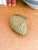 Vintage Brass Clam Shell Trinket Box, Hinged For Sale - Image 10 of 11