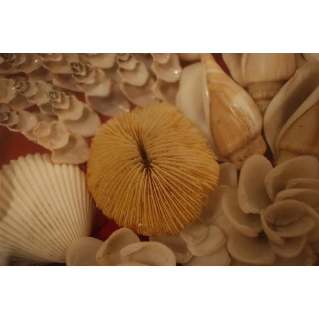 Mid Century Sailor's Valentine Shell Bouquet With Carved Wood Shadow Box Frame For Sale - Image 13 of 15
