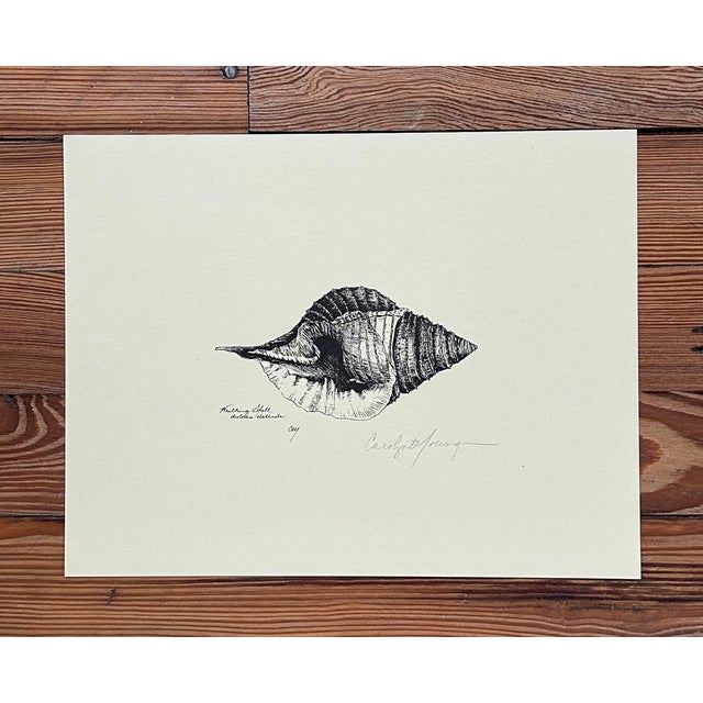 Vintage Carolyn T. Young Signed Seashell Prints, Set of 5 With Original Portfolio For Sale - Image 11 of 16