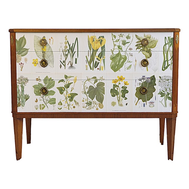 Gustavian Chest attributed to Josef Frank from CAM Lindman Nordens Flora, Sweden, 1940s For Sale