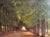 Large oil on canvas depicting a bridle path, 19th century. This composition represents a long, tree-lined avenue forming a...