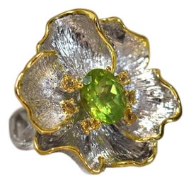 Example of Vermeil Rings