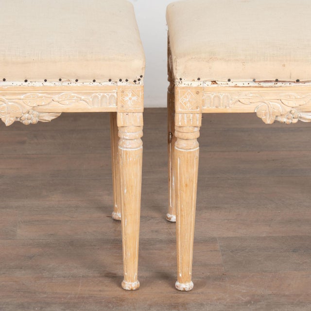 Pair Early 20th Century Swedish Pine Taboret Stools With Egg and Dart Carving For Sale - Image 12 of 14
