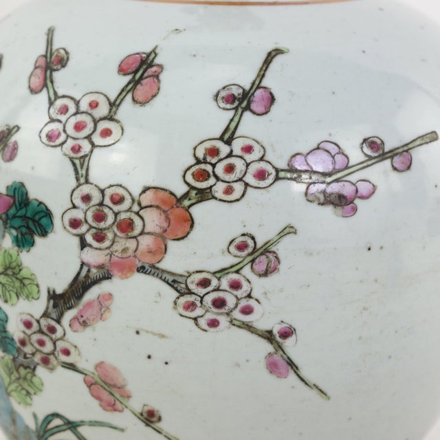 Antique Famille Rose Porcelain Vase Lamp With Birds on Flowering Plum Branches and Rockery For Sale - Image 11 of 14