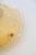Murano Glass Flush Mount with Brass Base from Sylcom Lighting, Venice, Italy, 1990s For Sale - Image 10 of 14