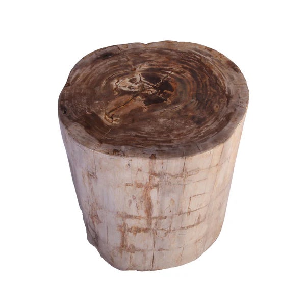 Made from one fossilized tree trunk, this organic petrified wood stool or side table is hand polished to show its...