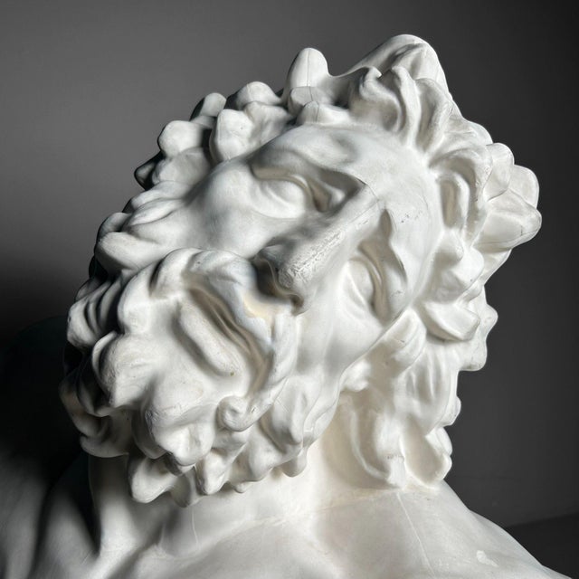 Plaster Bust of Laocoön, 1960s For Sale - Image 10 of 18