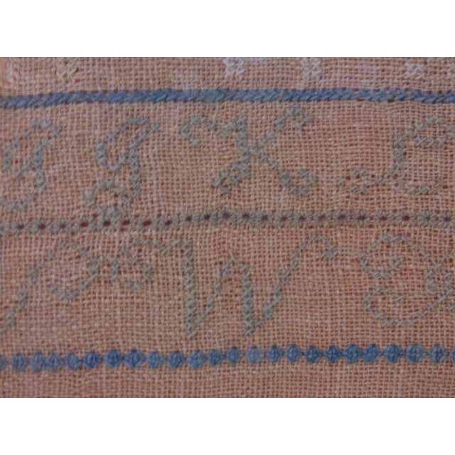 Beige 1832 Alphabet Sampler by Phebe Ann Holland in Original Burled Maple Frame For Sale - Image 8 of 10