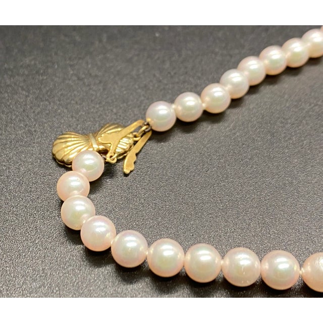 1990s Blue Lagoon Mikimoto Cultured 6mm Pearl Necklace in Box For Sale - Image 4 of 5