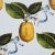 Contemporary Schumacher x Johnson Hartig Le Citron Wallpaper in Sky For Sale - Image 3 of 5