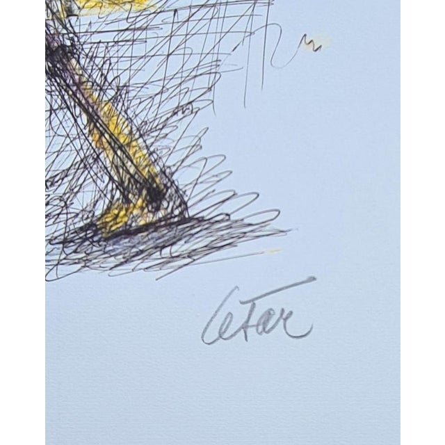 César, The Birdman, Lithograph For Sale - Image 4 of 6