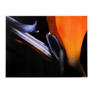 Bird / Photo Nuage, Jonathan Singer, Print