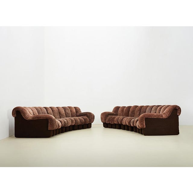 DS-600 Snake Sofa by Ueli Berger for de Sede, Switzerland, 1970s, Set of 22 For Sale - Image 15 of 15