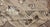 Turkish Oushak Rug in Natural Wool Color by Keivan Woven Arts 8'11 X 11'10 For Sale - Image 11 of 13