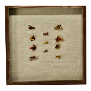 Framed Collection of Antique Fishing Lures For Sale