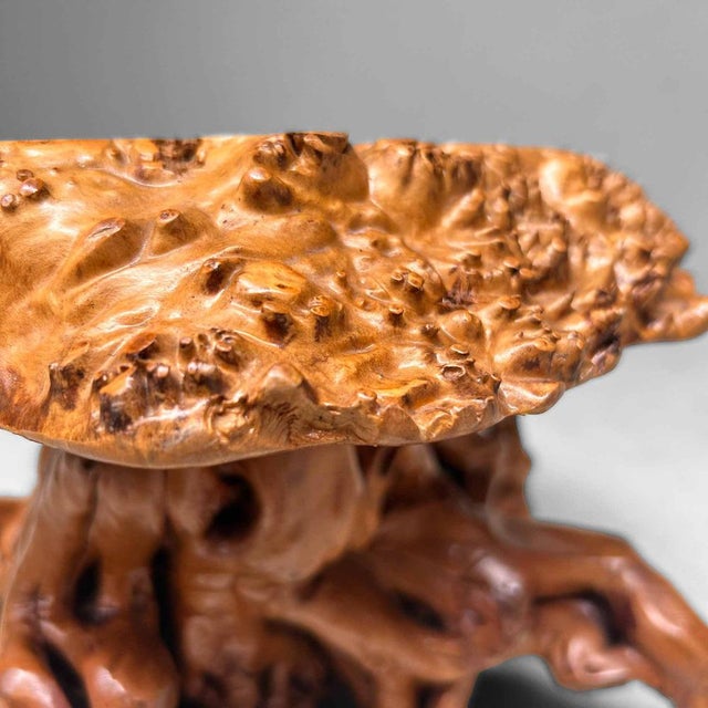 Mid-Century Yakusugi (Yakusugi) Burl Wood Plant Stand, Japan, 1940s For Sale - Image 9 of 14