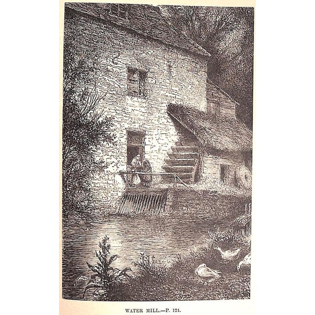 "A Tour Round My Garden" Wood, Rev. j.g. For Sale - Image 12 of 12