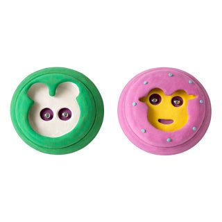 Michel Froment, Diptych Wall Sculptures, 2011, Mixed Media, Set of 2 For Sale