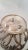 1970s Vintage Godinger Silverplate Coconut Tree Design W/ Frosted Glass Bowl Insert For Sale - Image 5 of 6