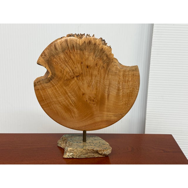 Design Plus Gallery presents a Reclaimed Live Edge Wood Sculpture + Stone Base. This sculptural object showcases a broad...