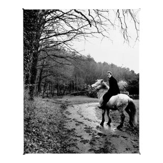 Sting, Signed Limited Edition Print, 1992, 2020 For Sale