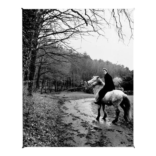 Sting, Signed Limited Edition Print, 1992, 2020 For Sale
