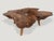 Andrianna Shamaris Amorphous Rosewood Coffee Table For Sale - Image 4 of 18