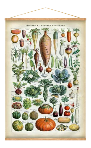 Vegetable Wall Hanging