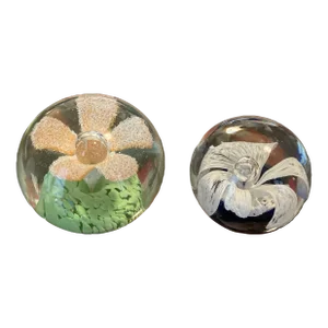 Vintage 1960’s Botanical Flower Paper Weights - Set of 2