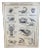 French Double-Sided Poster of Mollusks and Crustaceans For Sale