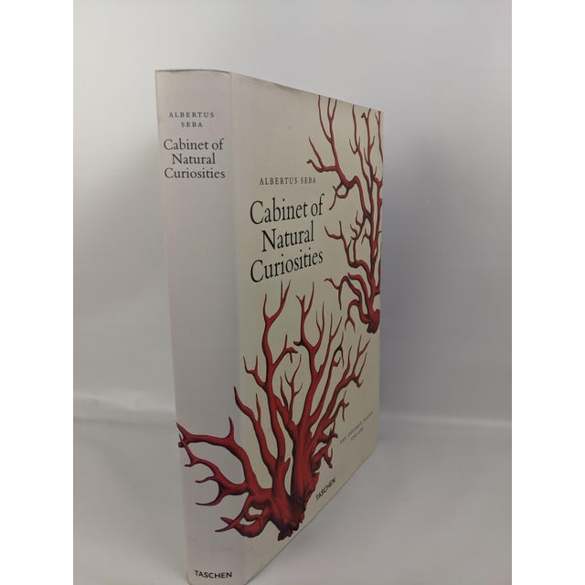 Early 21st Century Albertus Seba's Cabinet of Natural Curiosities – Taschen Red & White Illustrated Book For Sale - Image 5 of 12