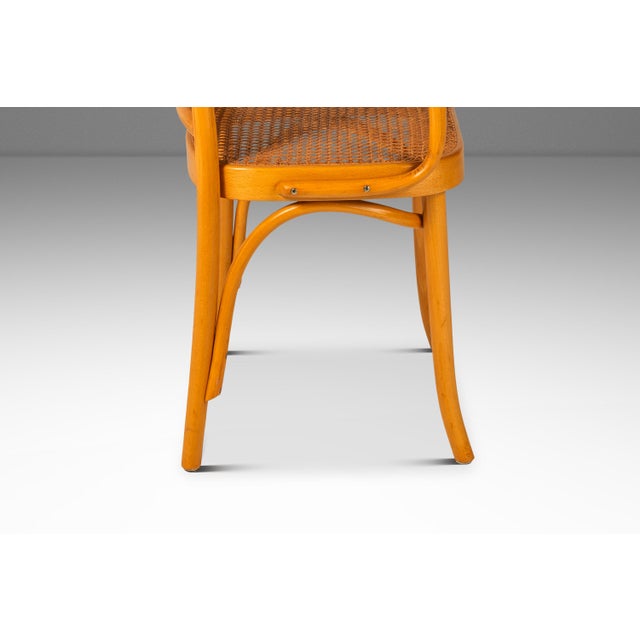 Scandinavian Modern Bentwood Model 811 "Prague" Dining Armchair by Josef Frank & Josef Hoffmann for Stendig, Poland, C. 1960s For Sale - Image 9 of 18