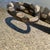 Large Wood Alligator Folk Art Sculpture For Sale - Image 9 of 18