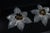 Large Murano Glass Leaf Flush Mounts from Franco Luce, 1970s, Set of 2 For Sale - Image 9 of 18