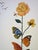 Salvador Dali, Flordali II, Lithograph For Sale - Image 4 of 7