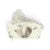 Early 20th Century German Staffordshire-Style Ceramic Poodle With Basket 3.25" For Sale - Image 10 of 10
