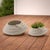 2020s Round Porcelain Planter with Frog (Set of 2) For Sale - Image 5 of 5