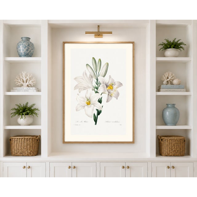 Madonna Lily, Vintage Botanical Art Print Reproduction by Pierre-Joseph Redouté, 24" X 36" For Sale - Image 4 of 10