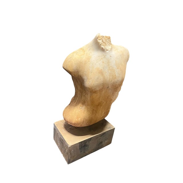 A sculptural study of the male form, this marble torso reflects the enduring legacy of classical antiquity and its revival...
