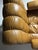 Vintage Italian Armchairs in Leather, 1970, Set of 2 For Sale - Image 6 of 18
