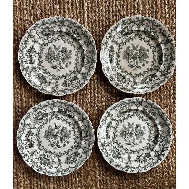 Wedgwood Antique Wedgewood 'Coral Border' Green Transferware 10" Dinner Plates - Set of 12 For Sale - Image 4 of 14